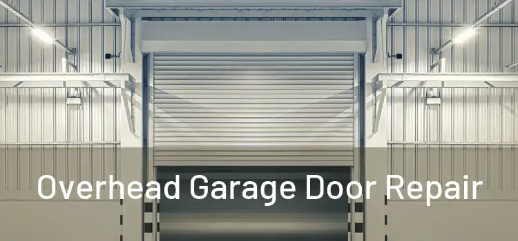  Overhead Garage Door Repair 